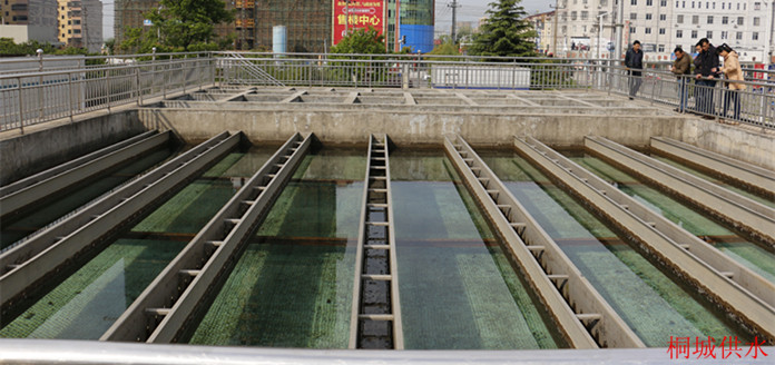 unibet优胜客官网