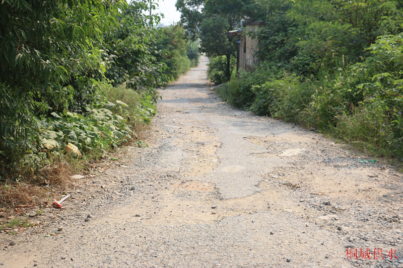 unibet��ʤ�͹���