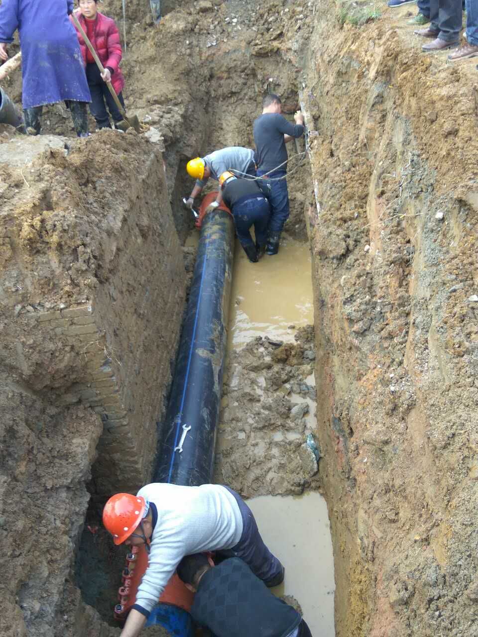 unibet��ʤ�͹���