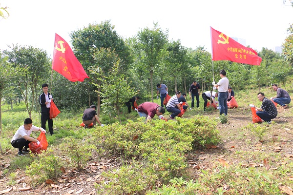 unibet��ʤ�͹���