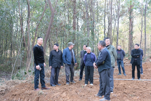 unibet��ʤ�͹���