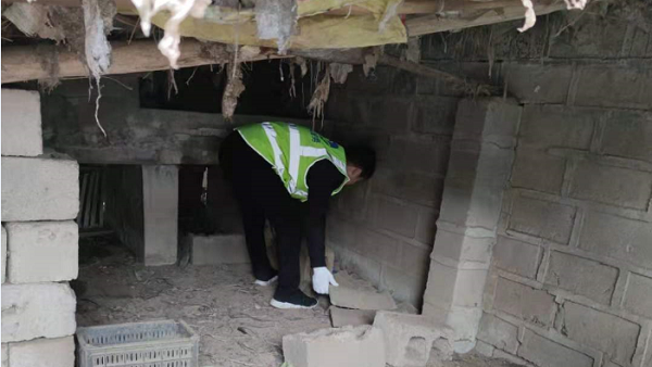 unibet��ʤ�͹���