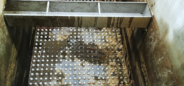 unibet优胜客官网