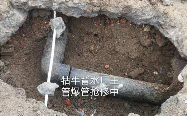 unibet��ʤ�͹���