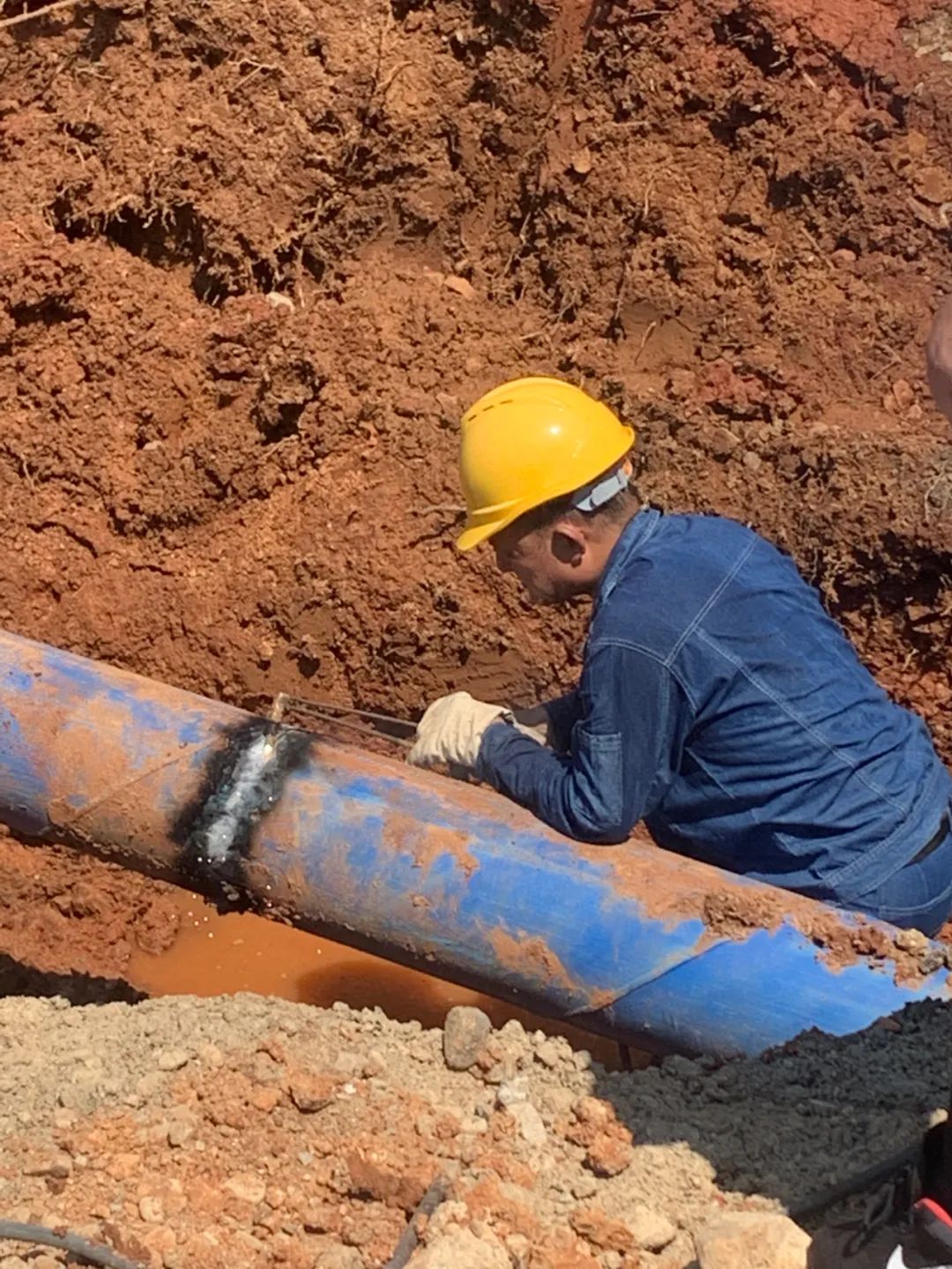 unibet��ʤ�͹���