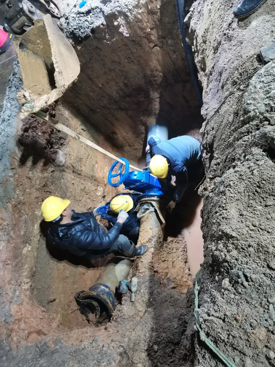 unibet��ʤ�͹���