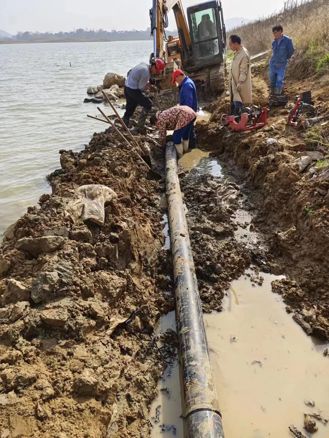 unibet��ʤ�͹���