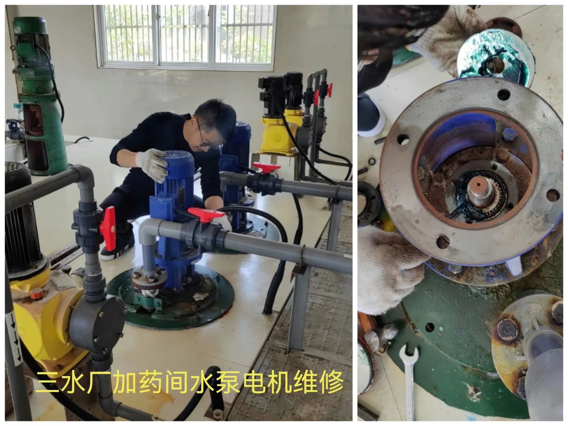 unibet��ʤ�͹���