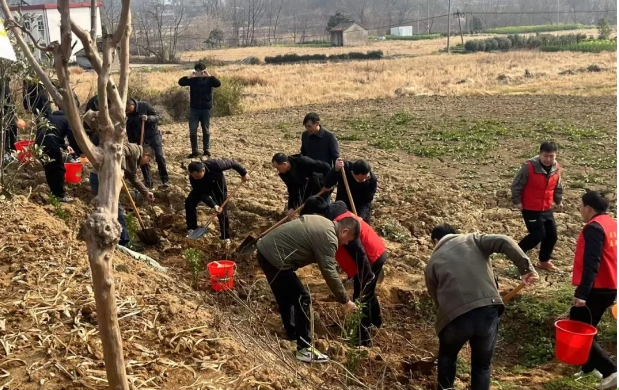 unibet��ʤ�͹���