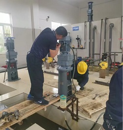 unibet��ʤ�͹���