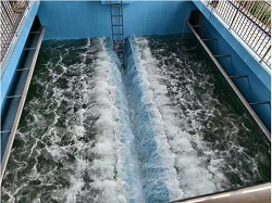 unibet��ʤ�͹���