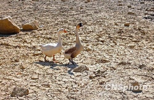 unibet优胜客官网