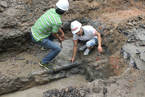 unibetÓÅʤ¿Í¹ÙÍø