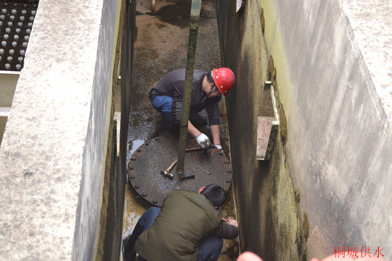 unibet��ʤ�͹���